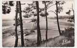 (RECTO/VERSO) SAINT BREVIN - VUE SUR LA PLAGE DU POINTEAU A TRAVERS LES PINS - Saint-Brevin-les-Pins