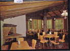 Studen Biel Bienne  Camp -Tropenpflanzen-Café Florida -  E. Wegmüller-Stettler; Gd Format (4587) - Bienne