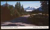 CPM Etats-Unis Alaska Mendenhall Glacier - Juneau