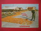 Drying Shrimp In Louisiana  Early Chrome No Cancel- Hasstamp & Adress   ---===ref 188 - Otros & Sin Clasificación