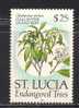 St. Lucia      Endangered Trees      Stamp (high Value Of The Set)     SC# 964 MNH** - St.Lucia (1979-...)