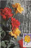 B22936 Fleurs Flowers  Roses Maximum Card Perfect Shape - Rose