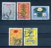 NETHERLANDS - FLOWERS - V4097 - Other & Unclassified