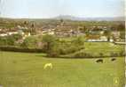 Nièvre - Luzy , Vue Générale Et Vaches En 1964 - Autres & Non Classés