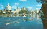 USA – United States – Hotel Row And Indian Creek, Miami Beach, Florida Unused Postcard [P3457] - Miami Beach