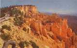 USA – United States – Along The Rim Road – Bryce Canyon National Park, Utah Unused Postcard [P3474] - Bryce Canyon