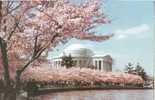 USA – United States – Jefferson Memorial, Washington D.C. Unused Postcard [P3475] - Washington DC