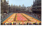 Brussels Grand'Place, Tapis De Fleurs - Feiern, Ereignisse