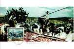 Spain / Espagne, Carte Maximum Card MC FD Sorolla Painting "Cows Round Up" 1964 - Tarjetas Máxima