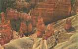 USA – United States – Bryce Canyon National Park, Utah Old Unused Postcard [P3488] - Bryce Canyon