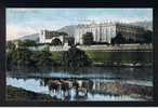 RB 723 - Early Postcard - Cattle In The River - Chatsworth House Derbyshire - Derbyshire