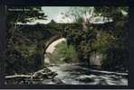 RB 723 - Early Postcard - Dargle Bridge Bray Wicklow Ireland Eire - Wicklow