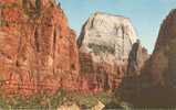 USA – United States – The Great White Thorne, Zion National Park, Utah Old Unused Postcard [P3517] - Zion