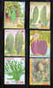 Bangladesh 1994 Vegetables Plants MNH - Bangladesh