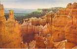 USA – United States – Bryce Canyon National Park, Utah Old Unused Postcard [P3521] - Bryce Canyon