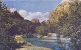 USA – United States – Zion National Park, Utah  Unused Postcard [P3524] - Zion