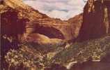 USA – United States – The Great Arch, Zion National Park, Utah Unused Postcard [P3525] - Zion