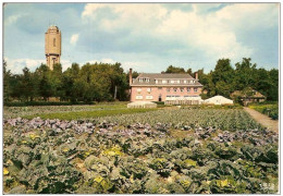 SINT JOB IN 'T GOOR-KRISTUS KONING INSTITUUT-CHATEAU D'EAU-WATERKASTEEL - Brecht