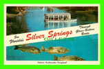 SILVER SPRINGS, FL - SEE FLORIDA'S THROUGH GLASS-BOTTOM BOATS - PHOTO MOZERT - - Silver Springs