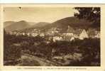 Carte Postale Ancienne Niederbronn Les Bains - Vue Sur Le Camp Celtique Et Le Wintersberg - Niederbronn Les Bains