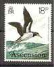 Ascension1976: SEAGULLS 208mnh** - Seagulls