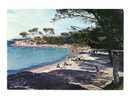 Cp, 83, Ile De Porquerolles, LA Plage D'Argent, écrite - Porquerolles