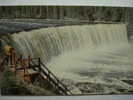 354 LADY EVELYN FALLS CANADA  YEARS 1950/70 - OTHERS SIMILAR IN MY STORE - Autres & Non Classés