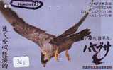 Telecarte JAPON *  OISEAU EAGLE  (368) AIGLE * JAPAN Bird Phonecard  * Vogel * Telefonkarte ADLER * AGUILA * HOECHST - Eagles & Birds Of Prey