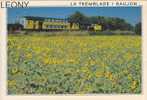 CPM De La TREMBLADE - SAUJON (17) - Train Touristique - édit Michel MARCOU - La Tremblade