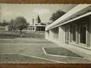 17 - MONTENDRE Les PINS - Le Nouveau Groupe Scolaire - Vue Intérieure. (CPSM) - Montendre