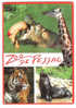 ZOO De PESSAC, Gironde: Hippopotame , Le Directeur Du Zoo; Girafe, Tigre Phoque / Otarie; 1991 - Nijlpaarden