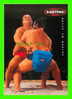 LUTTE - SUMO - EASTPACK - MAAHANTUONTI: UNIVERSAL-EXES OY - - Wrestling