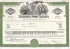 Consumers Power Company ,1-6- 1976  25.000  8 3/4 % - P - R