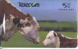 New Zealand-nz-g-90-hereford Cattle-(221b)-$5-used Card+1 Card Prepiad Free - Koeien