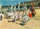 Sigean-réserve Africaine De Sigean-pelicans-cpm - Sigean