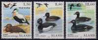 Aland 1987    (g1333) - Patos