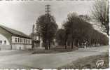 CPSM LE PLESSIS TREVISE (Val De Marne) - La PLace Des Fêtes Et L'Avenue Hardouin - Le Plessis Trevise