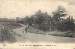 PLANT DE  CHAMPIGNY  CHEMIN DE LA GARE VERS 1900 - Champigny