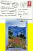 Postal,  LA LECHERE 1996, Francia, Post Card , - Briefe U. Dokumente
