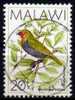 MALAWI - 1988 YT 520 USED UCCELLI - Malawi (1964-...)