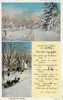 15780     Stati  Uniti,   Maine,  Winter  Time,  The  Pine  Tree  State(Rev.  William  Wood),  VG  1931 - Sonstige & Ohne Zuordnung