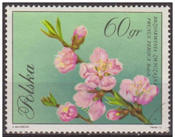 Polonia 1971 Scott 1863 Sello * Flora Flor Melocoton Prunus Persica Michel 2135 Yvert 1982 Polska Stamps Timbre Pologne - Nuevos