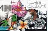 TELECARTE  NOUVELLE-CALEDONIE  80 Unités  Mosaique (Puce SC7) Fleurs,Fruits,Oiseaux  Flowers,Fruits,Birds - Neukaledonien