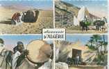 Delcampe - Souvenir D'ALGERIE (Ed. Jomone, 2008) - Szenen