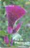 ANTIGUA / CELOSIA  - CHIP Gem6 - Antigua And Barbuda