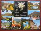 (Schliersee) - Mehrbildkarte "Ein Echtes Edelweiß Von Der Großen Alpenfahrt" - Schliersee