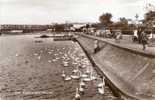 15890    Regno  Unito,   Weymouth,  The  Swans,  VGSB  1961 - Weymouth