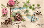 FANTAISIE LANGAGE DES FLEURS Couple - Other & Unclassified