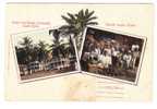 CPA - COLON - Market Scene - CRISTOBAL - Under The Palms - Canal Zone - Panamá