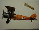 875     AVION  POSTCARD   YEARS  1970  OTHERS IN MY STORE - 1914-1918: 1st War